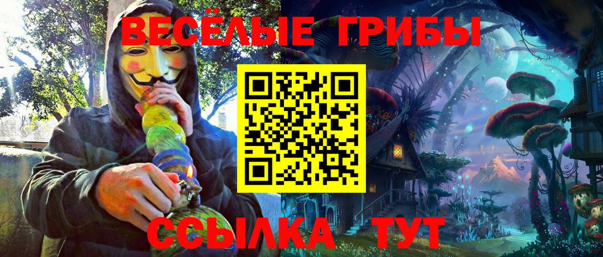 Псилоцибиновые грибы GOLDEN TEACHER  Псилоцибиновые грибы Cubensis  Нягань  Вход с VPN 